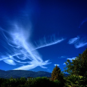 Fishbone Clouds by Tim Carl